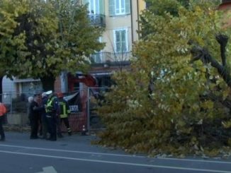 Verbania albero caduto anziano