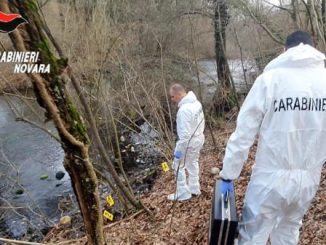 Novara omicidio cadavere bosco