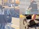 Gallarate sala scommesse polizia