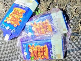 Domodossola droga cioccolato arresto