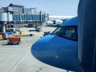 Malpensa carta imbarco falsa