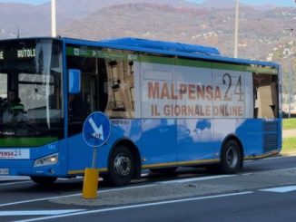 luino bus malpensa24