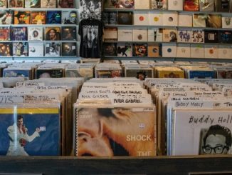 Varese vinile fiera eventi