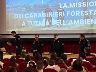magenta giornata albero carabinieri