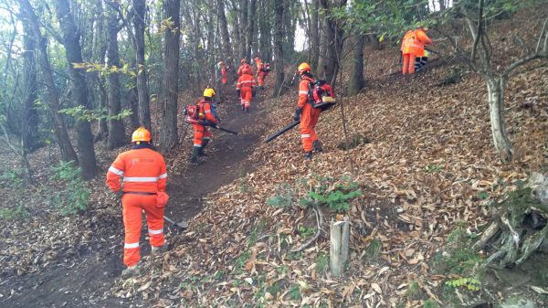 brezzo bedero volontari incendio