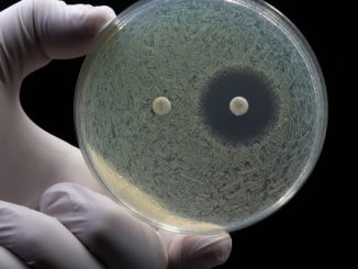 convegno insubria antibiotico resistenza