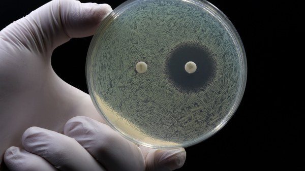 convegno insubria antibiotico resistenza