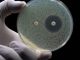 convegno insubria antibiotico resistenza