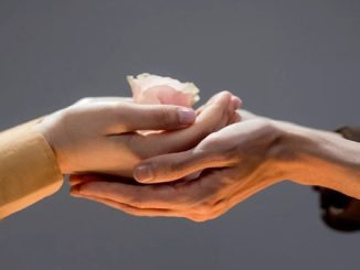 giornata gentilezza società