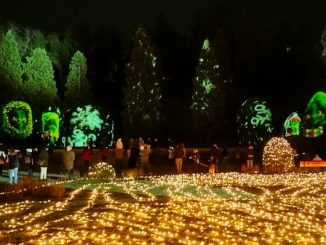 giardini estensi varese natale