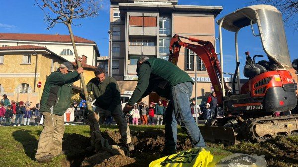 giornata degli alberi varese