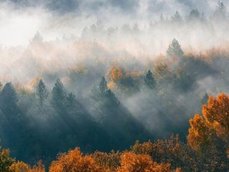 giornate sereno nebbia pianura