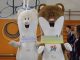 olimpiadi varese pernottamenti stimati