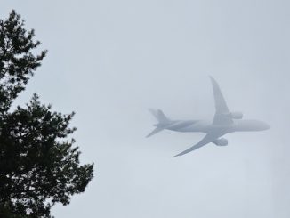 Malpensa assemblea pubblica cuv