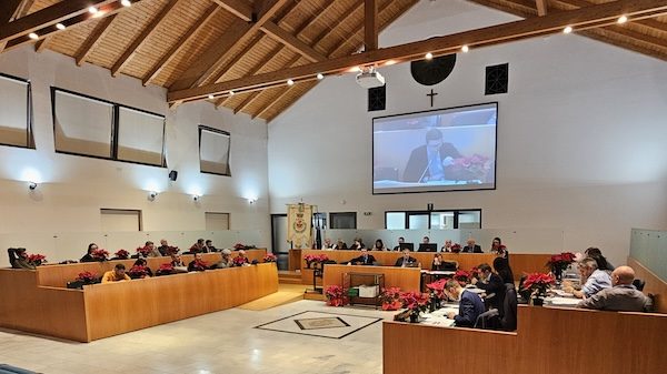 Gallarate fascista partito democratico