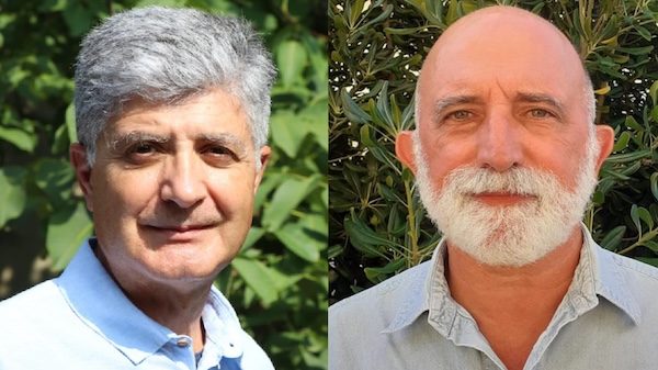 somma pd primarie aliprandini criseo