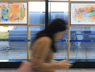 Malpensa mostra Fariba Ferdosi