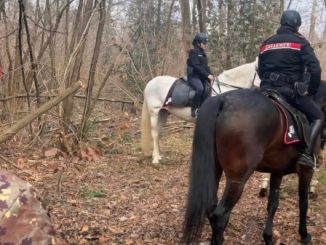 Carabinieri cavallo droga Varese