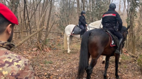 Carabinieri cavallo droga Varese