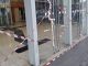 Gallarate stazione vandali marocchini