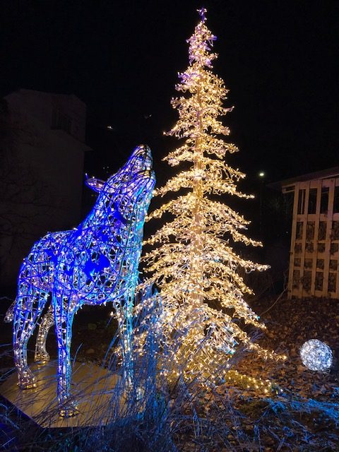 Lumagica, Innsbruck