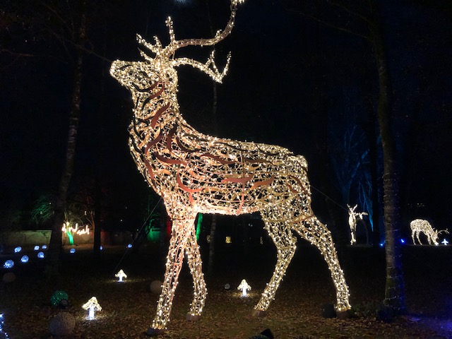 Lumagica Innsbruck