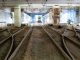 gallarate ferrovia collegamento t2