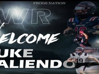 Frogs Skorpions Luke Caliendo