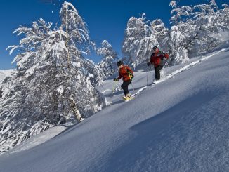 Oasi di Zegna (Biella) - inverno