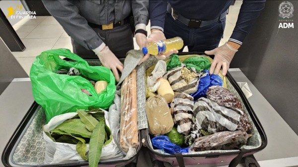 aeroporto linate sequestrati alimenti