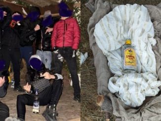 carnago vandalizzano presepe ignoranti