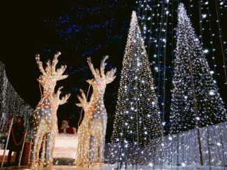 leggiuno accese lucine natale
