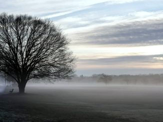 pianura nuvole nebbia temperatura