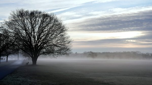 pianura nuvole nebbia temperatura