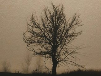 piogge schiarita nebbia pianura