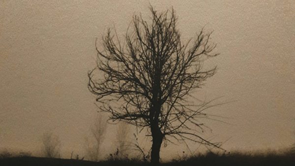 piogge schiarita nebbia pianura