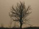 piogge schiarita nebbia pianura