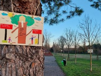 sanvittoreolona ambiente cittadella ragazzi