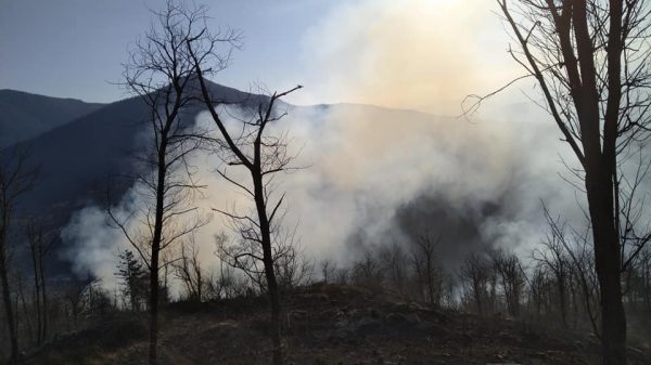 valli verbano foreste incendi