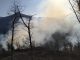 valli verbano foreste incendi