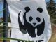 gallarate palazzetto wwf rospo