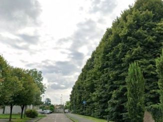 Cardano verde sicurezza restyling