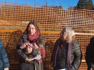gallarate palazzetto incontro comitato