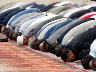 sesto moschea terreno vendita