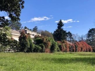 Legnano parco ila sanatorio