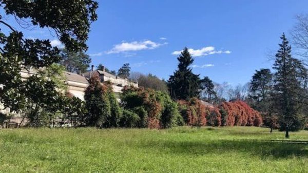 Legnano parco ila sanatorio