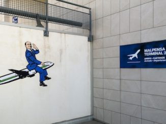 Malpensa berlusconi decisione tar