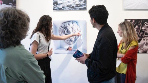 cultura sociale fondazione cariplo varesotto