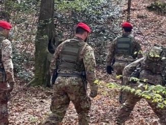 Sumirago spaccio boschi carabinieri