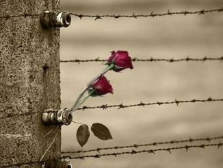 giorno memoria presente
